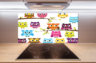 Kitchen splashback Colorful owls