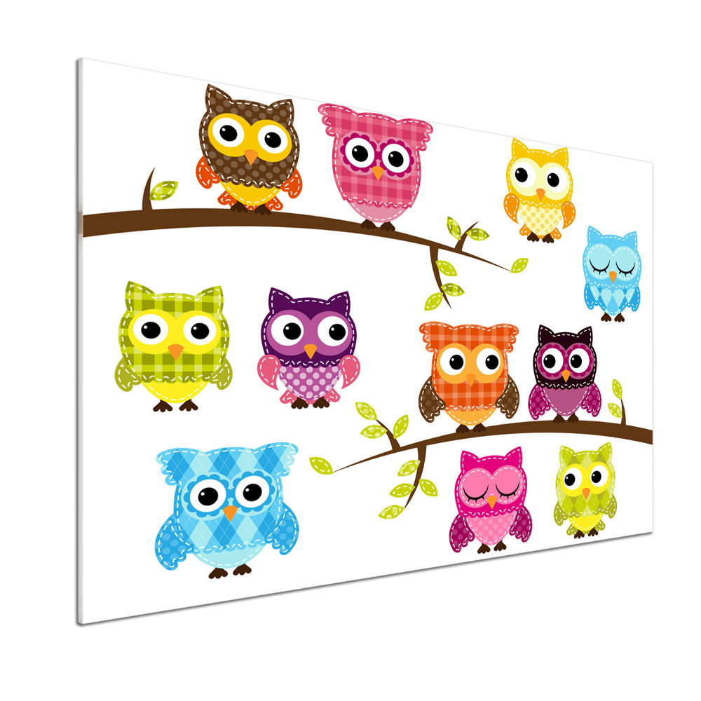 Kitchen splashback Colorful owls