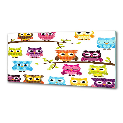 Kitchen splashback Colorful owls