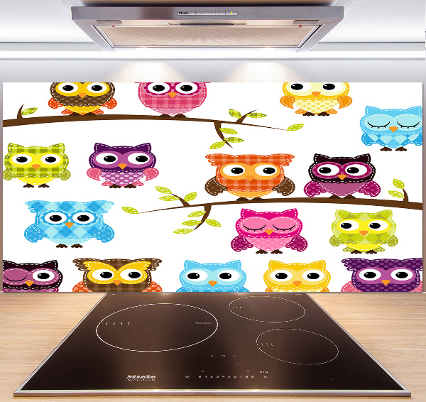 Kitchen splashback Colorful owls