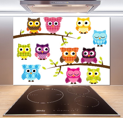 Kitchen splashback Colorful owls