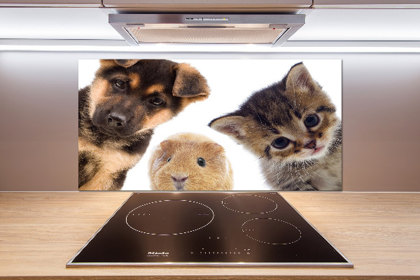 Cooker splashback Pets