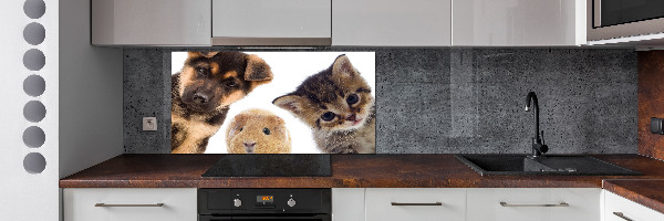 Cooker splashback Pets