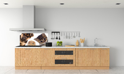 Cooker splashback Pets