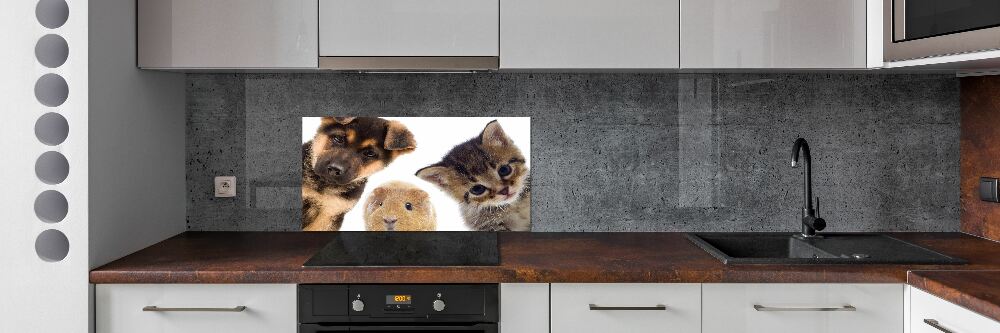 Cooker splashback Pets