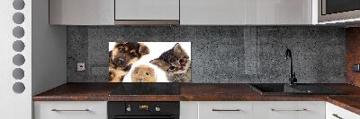 Cooker splashback Pets