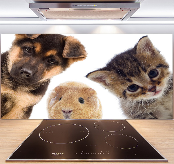 Cooker splashback Pets