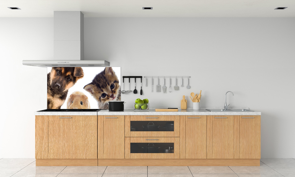 Cooker splashback Pets