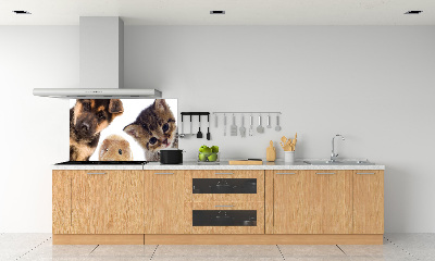 Cooker splashback Pets