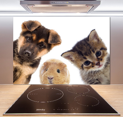 Cooker splashback Pets