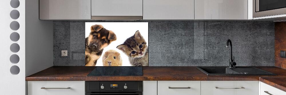 Cooker splashback Pets