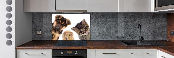 Cooker splashback Pets