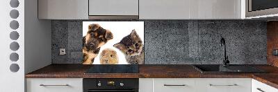 Cooker splashback Pets