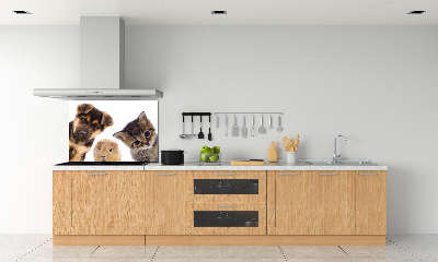 Cooker splashback Pets