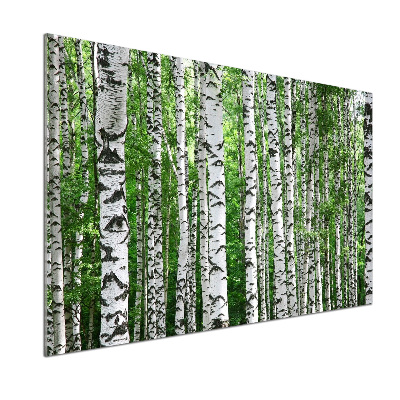 Cooker splashback Birch