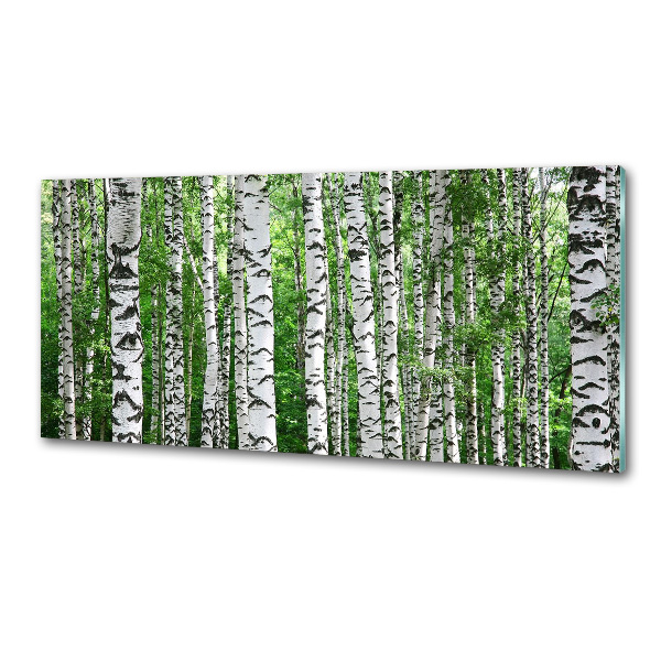 Cooker splashback Birch