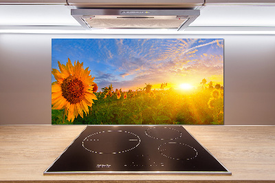 Kitchen wall panels Sunflower field