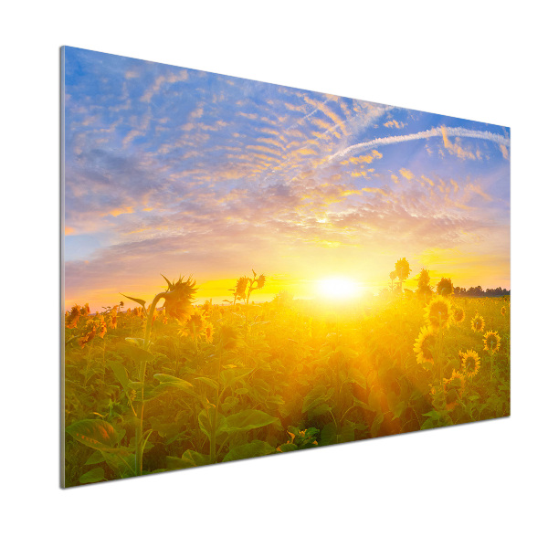 Kitchen wall panels Sunflower field