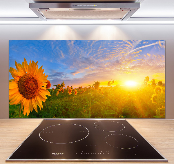 Kitchen wall panels Sunflower field