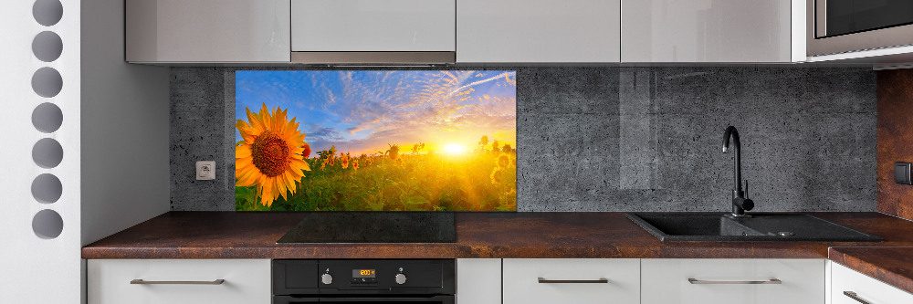 Kitchen wall panels Sunflower field