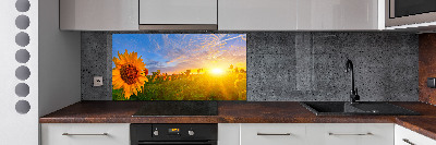 Kitchen wall panels Sunflower field