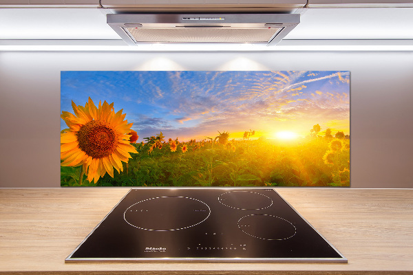 Kitchen wall panels Sunflower field