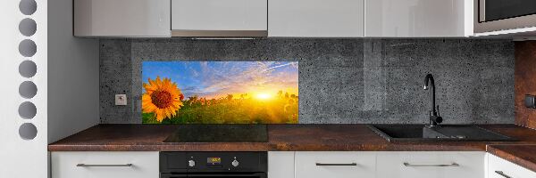 Kitchen wall panels Sunflower field