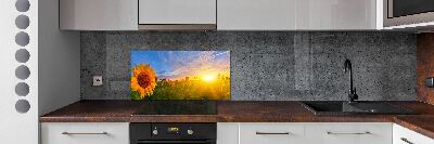 Kitchen wall panels Sunflower field