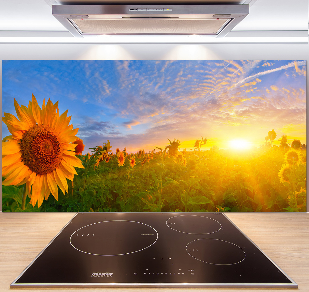 Kitchen wall panels Sunflower field