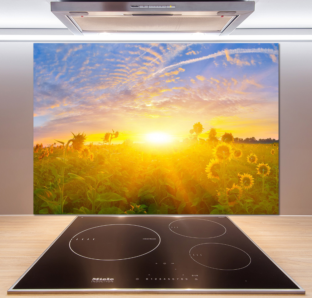 Kitchen wall panels Sunflower field