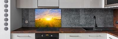 Kitchen wall panels Sunflower field