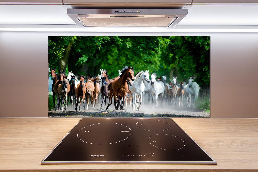 Cooker splashback Horses at gallop