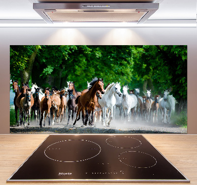 Cooker splashback Horses at gallop