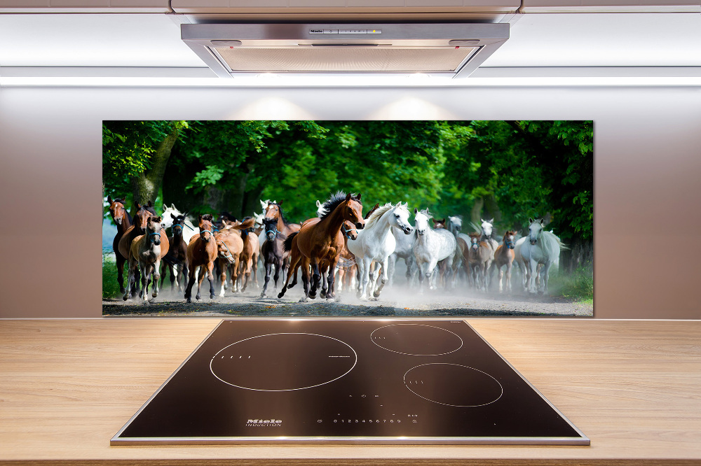 Cooker splashback Horses at gallop