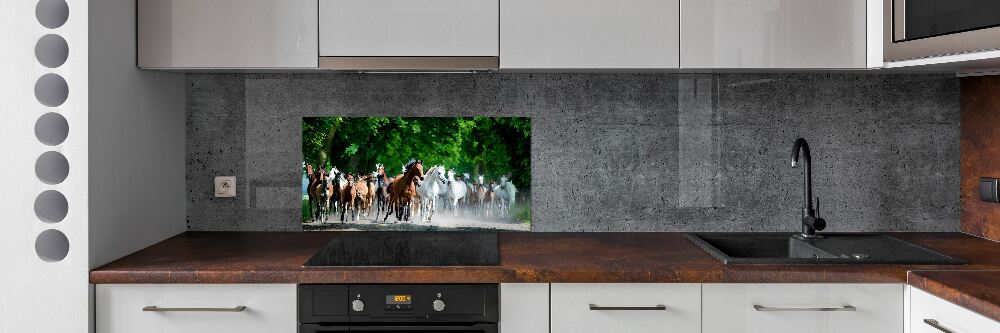 Cooker splashback Horses at gallop