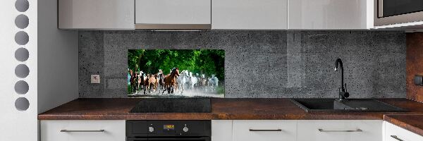 Cooker splashback Horses at gallop