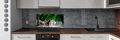 Cooker splashback Horses at gallop