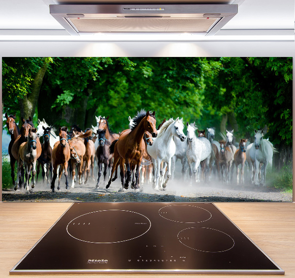 Cooker splashback Horses at gallop