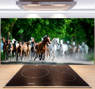 Cooker splashback Horses at gallop