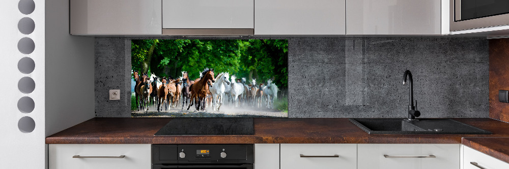 Cooker splashback Horses at gallop