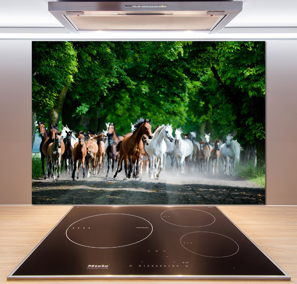 Cooker splashback Horses at gallop