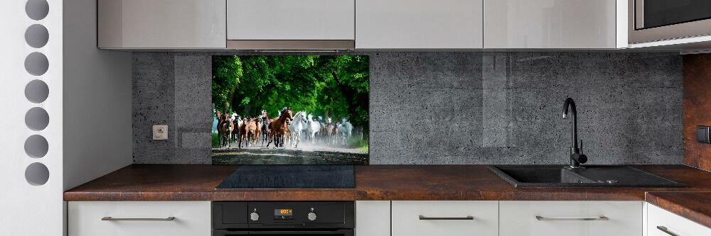 Cooker splashback Horses at gallop