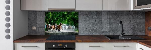 Cooker splashback Horses at gallop