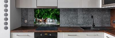 Cooker splashback Horses at gallop