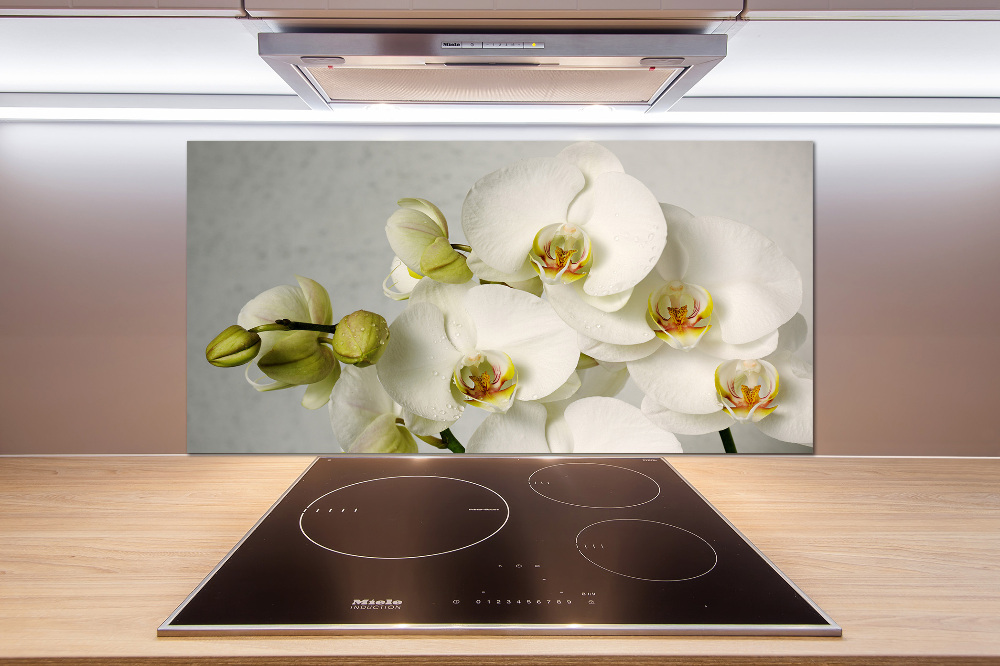 Cooker splashback White orchid