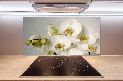 Cooker splashback White orchid