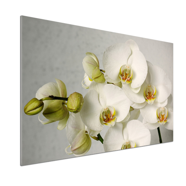 Cooker splashback White orchid