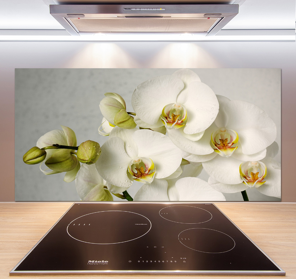 Cooker splashback White orchid