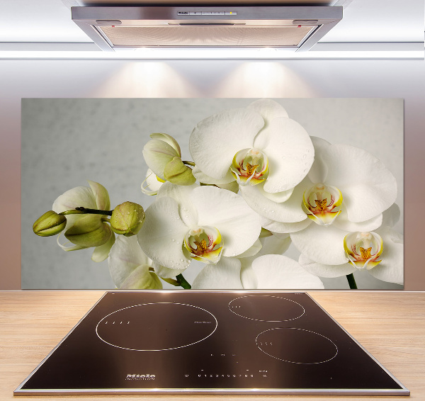 Cooker splashback White orchid