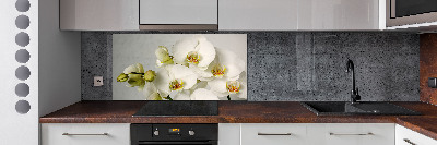 Cooker splashback White orchid